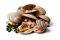 Clams