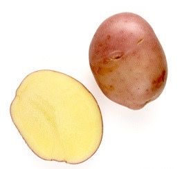 Potato - Desiree 