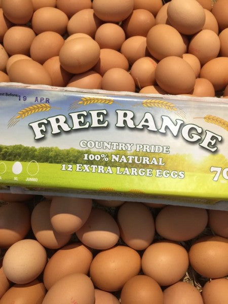 Free Range Jumbo Eggs